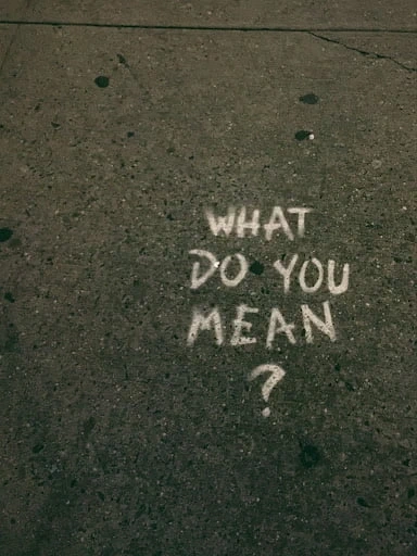 WhatDoYouMean 1